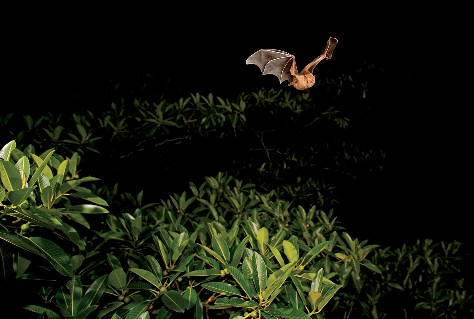 1r27_054_mg_0742c_41a