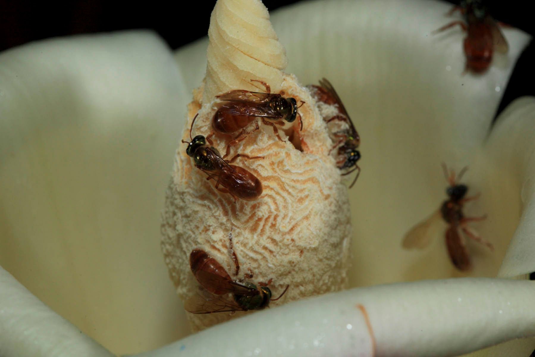 1017_mm7777_091221_07455