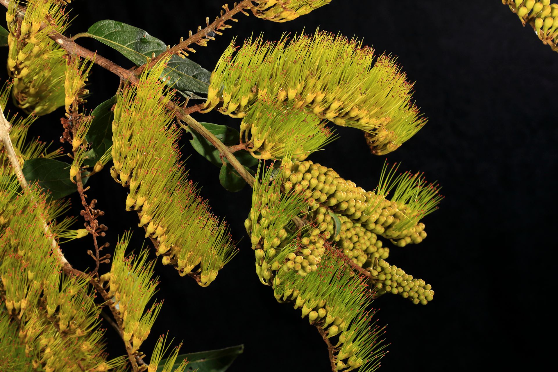 40-_MG_8448 copy.jpg