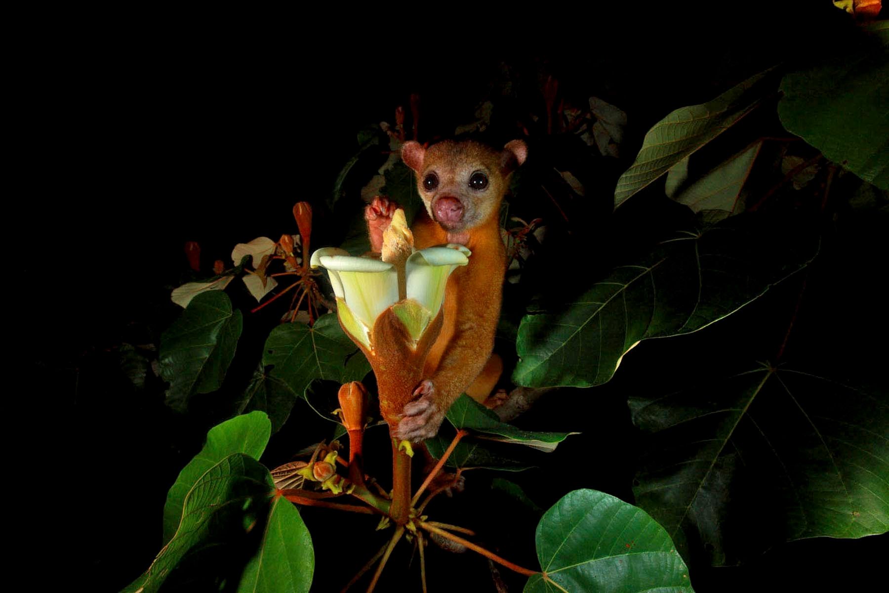 1cover_mm7777_100107_10502