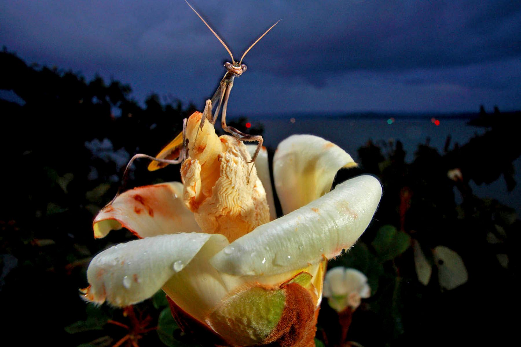 1mm7777_100211_27513