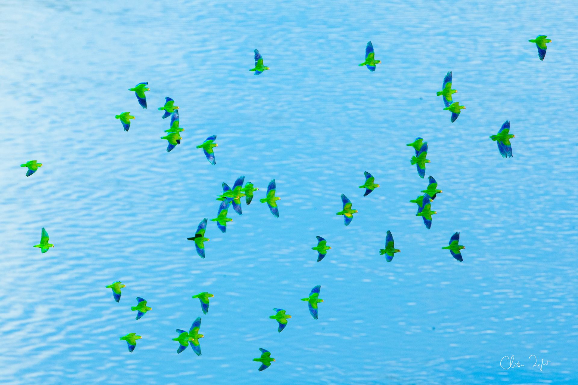 MM8275_141005_66095 final file-2.jpg