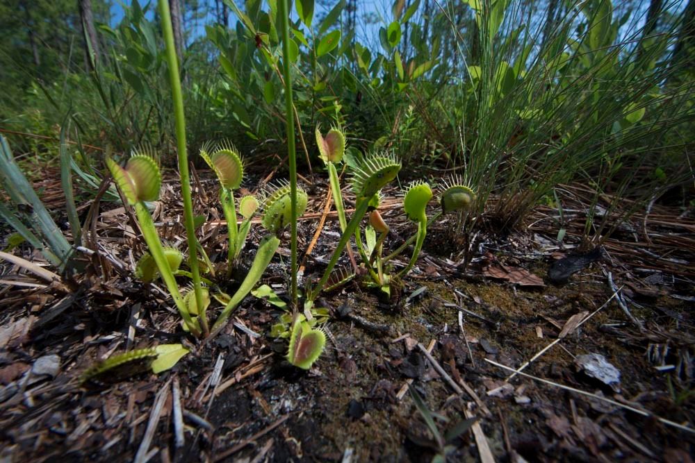 1r25_18_ncm13011_130604_0095