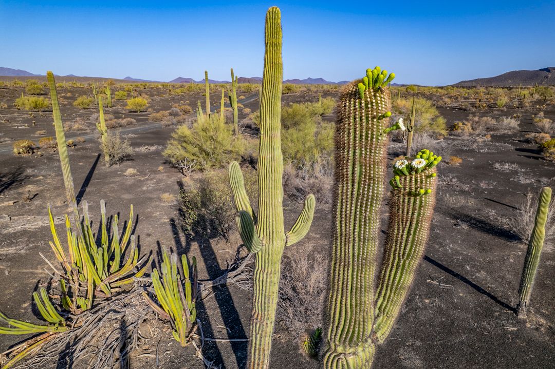 MM9826 _220502_008000-3-25.jpg