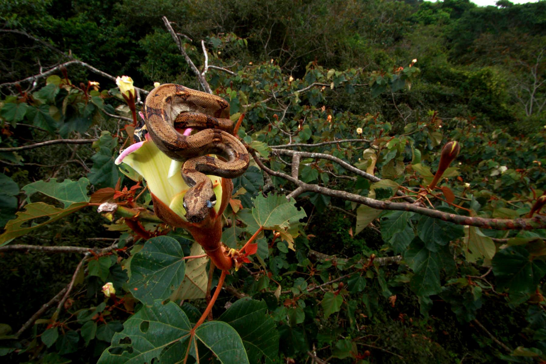 1r26mm7777_100225_34392