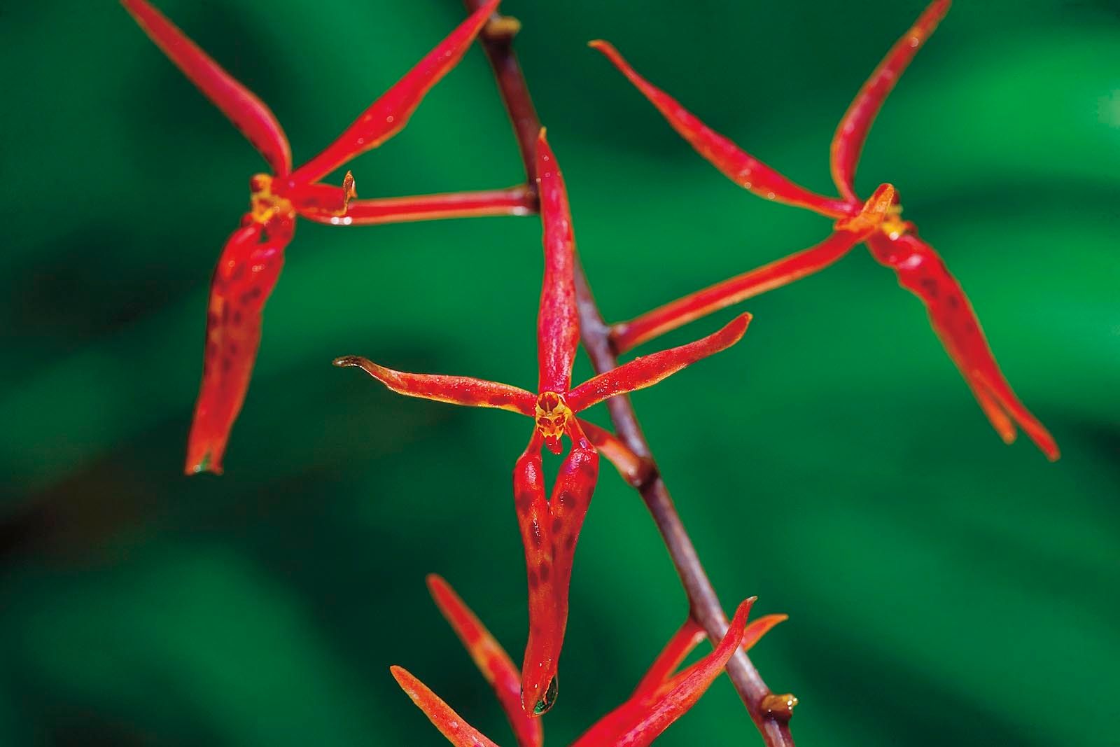 1mm7607_070824_04947r2