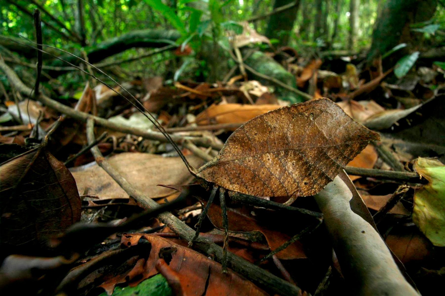 1r10_ziegler_christian10