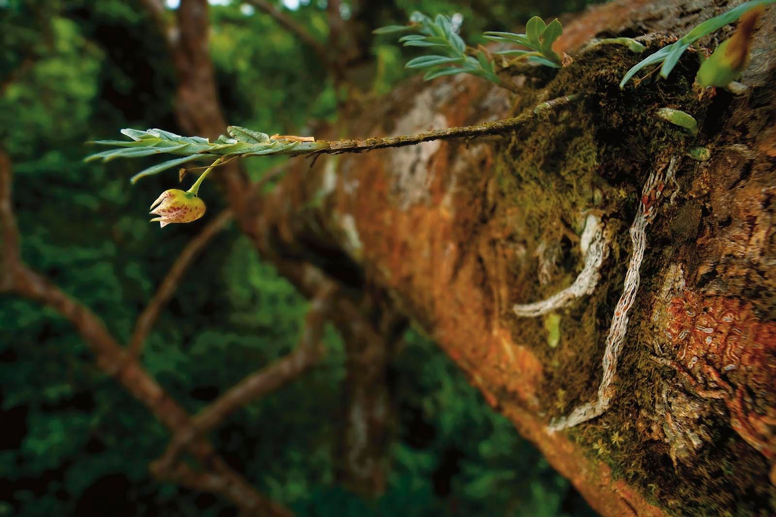 1mm7607_080223_06128r2