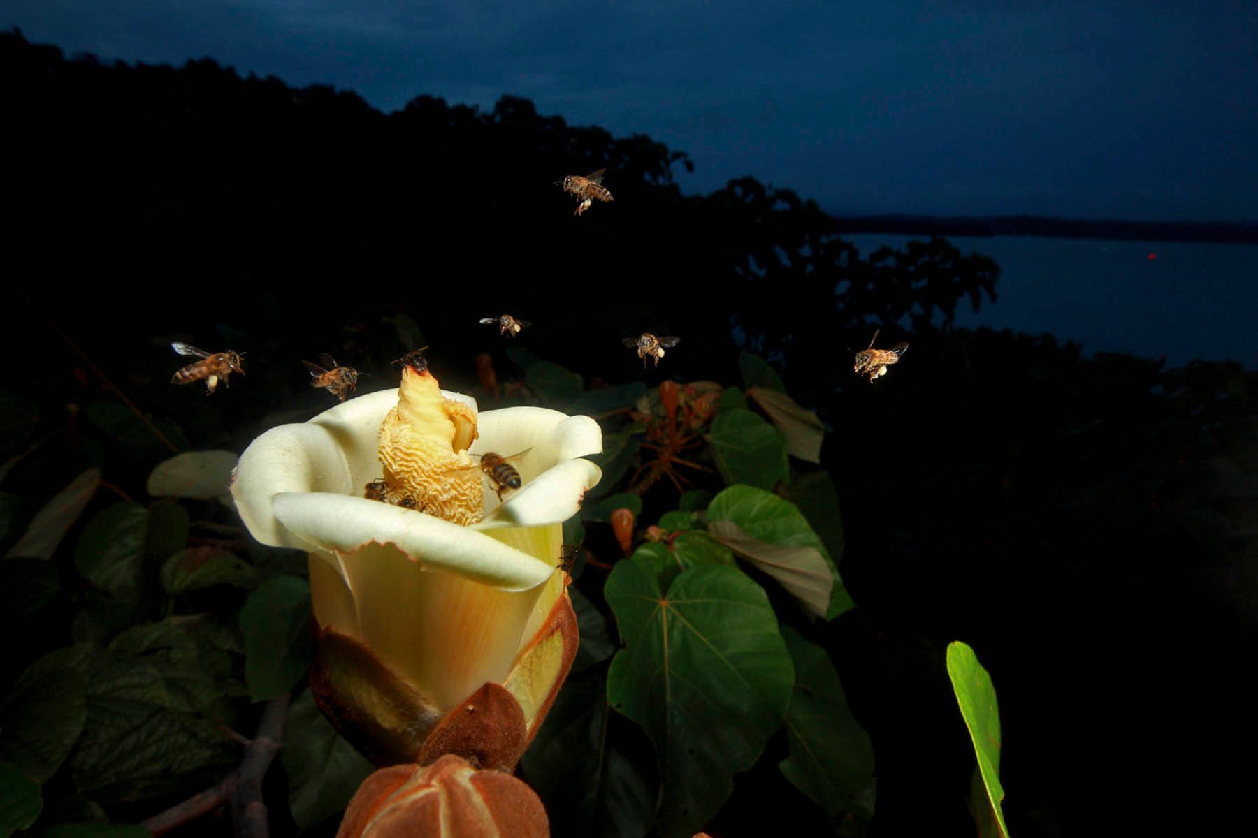 1030_08mm7777_091219_06399