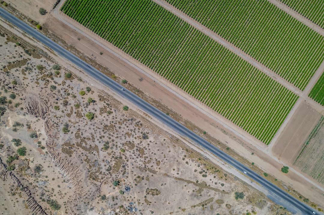 MM9826 _220423_001105-3-3.jpg