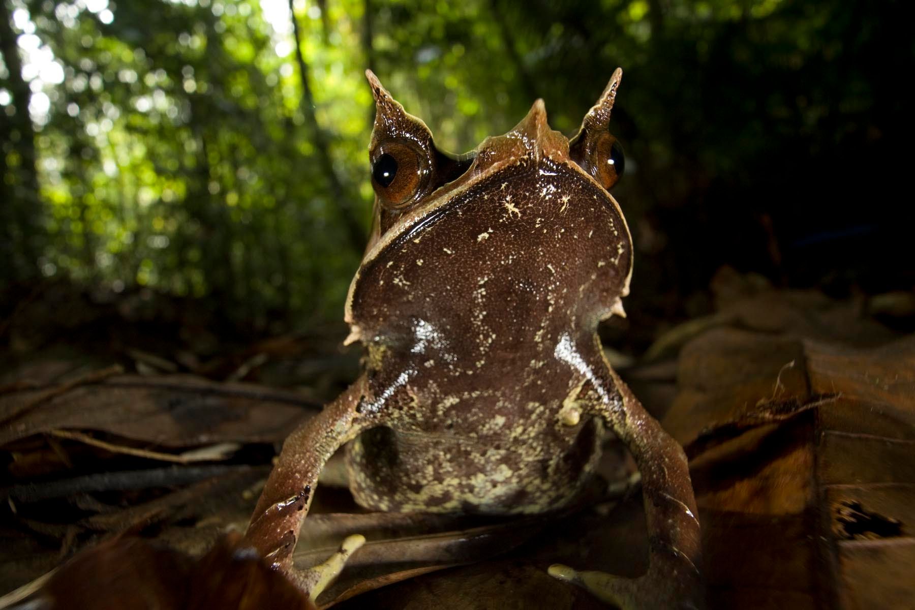 1r30_mm7577_070822_21740