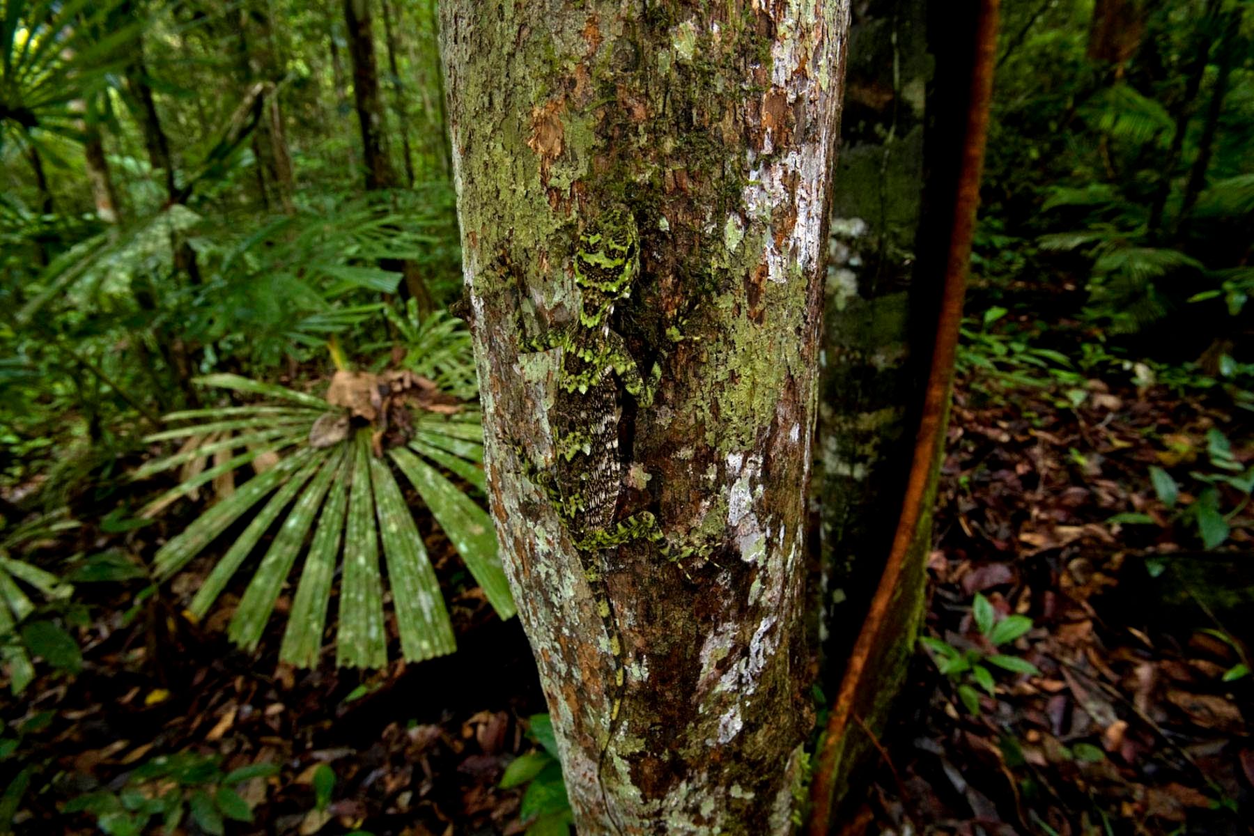 1r21_ziegler_christian21