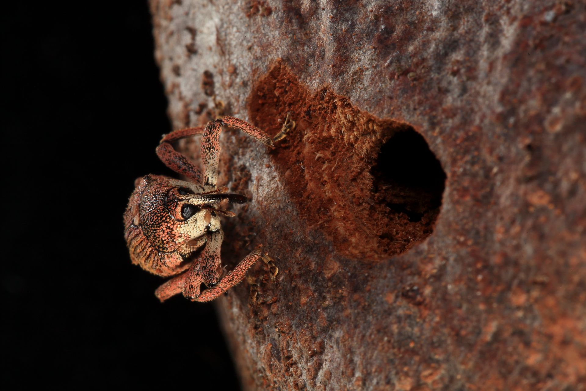 167-_MG_9003 2 copy.jpg