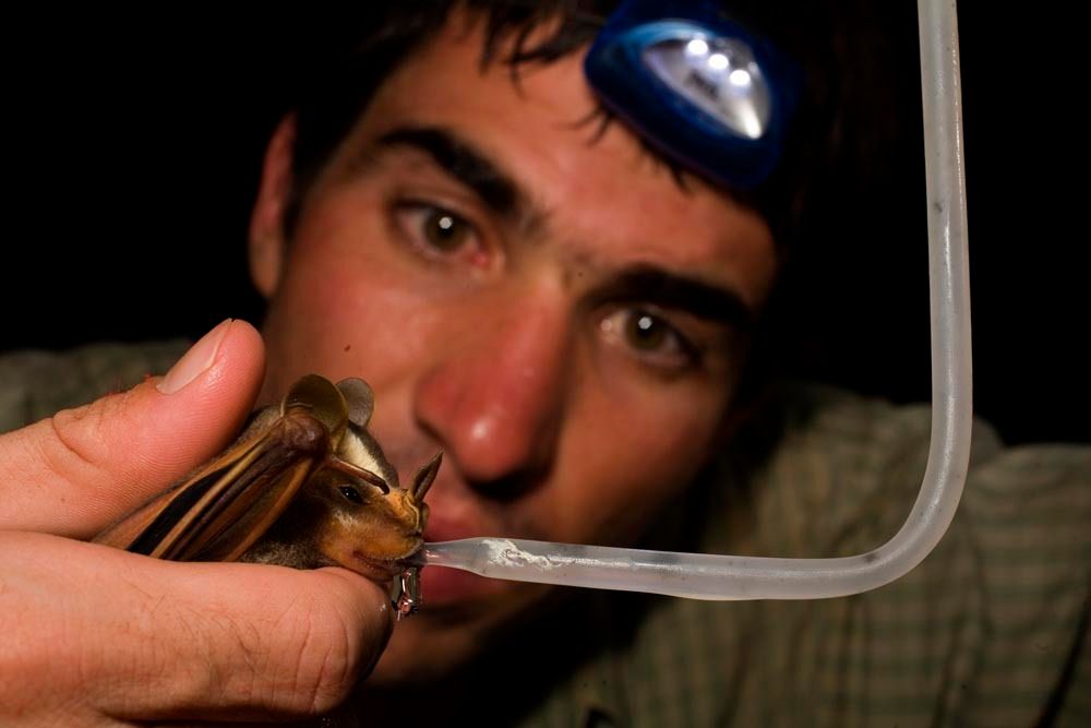 1r28_mm7355_060513_14889