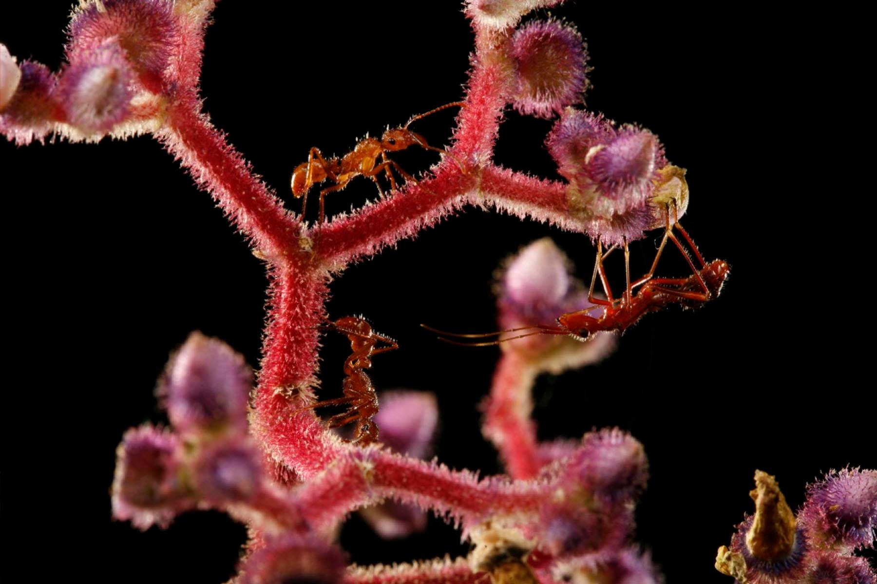 1r23_ziegler_christian23