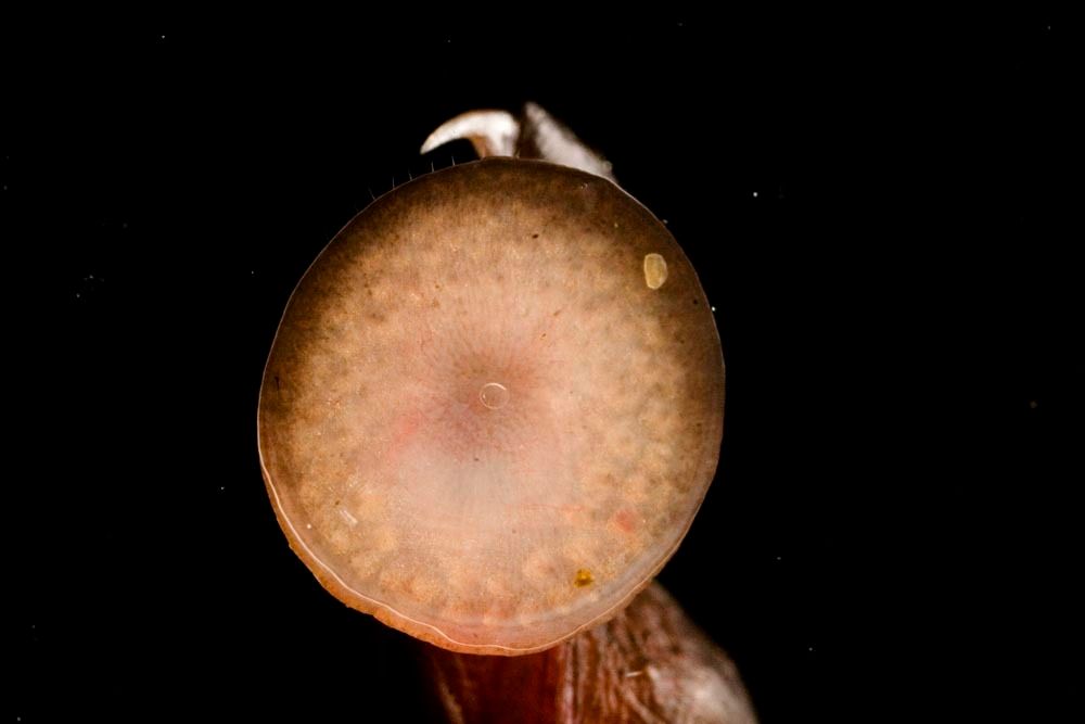 1r22_mm7355_060715_18238