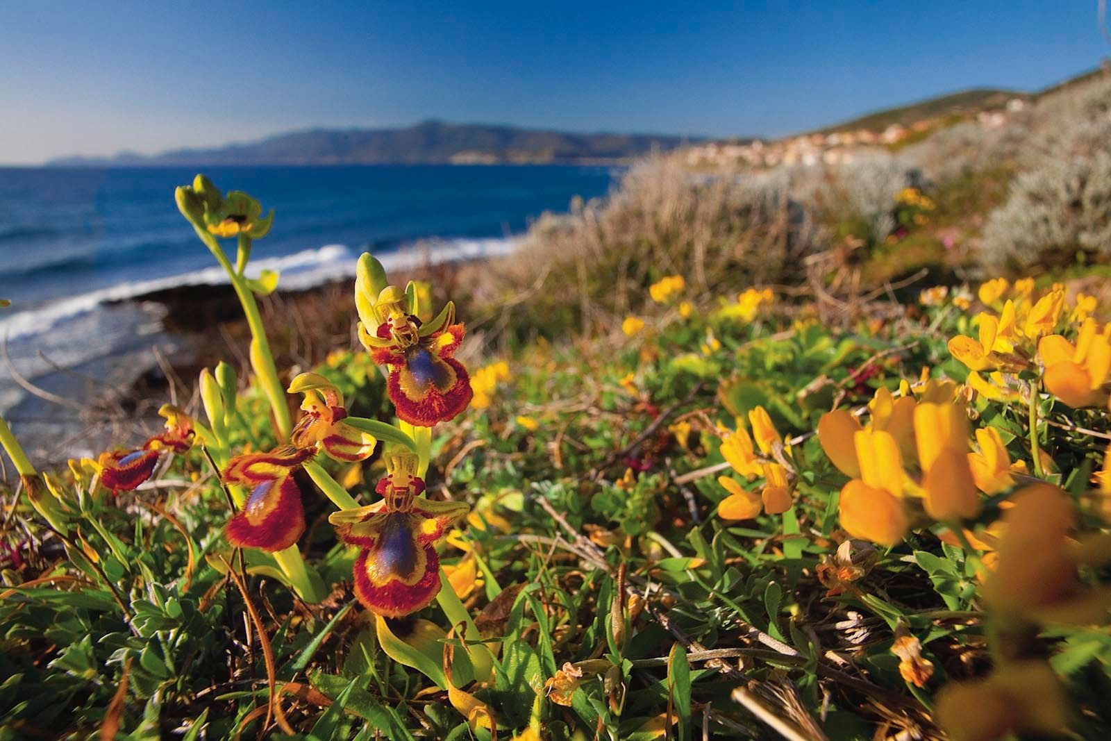 1mm7607_080406_10722r3