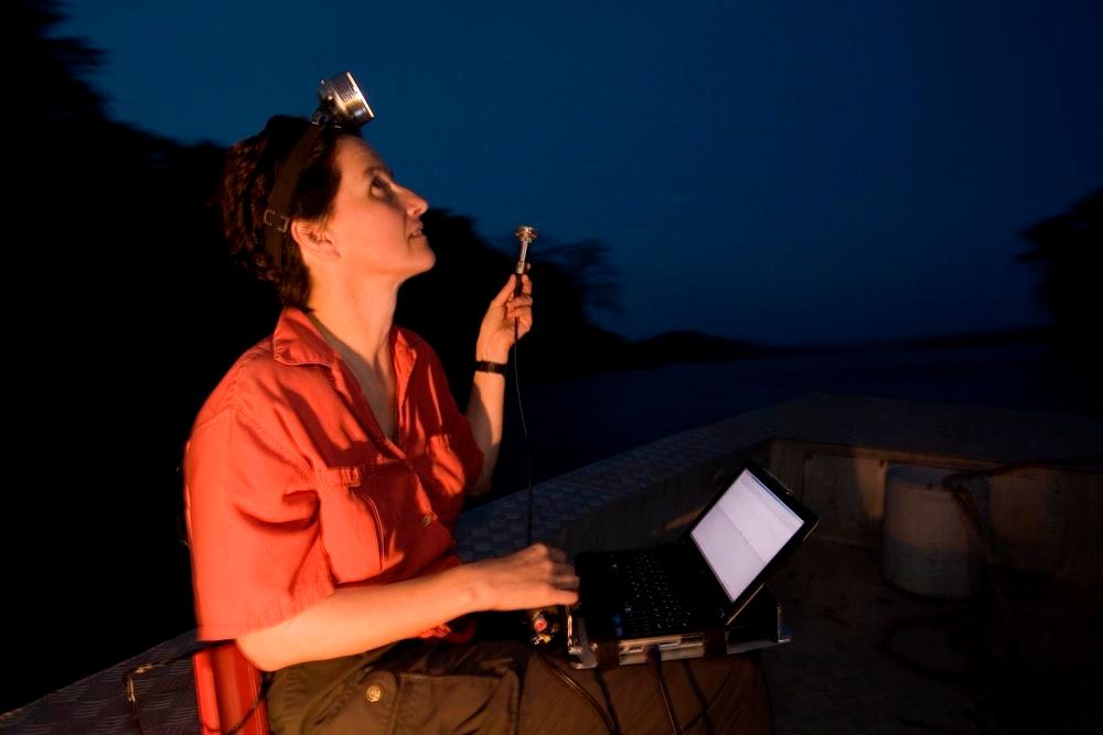 1r25_mm7355_060330_7011