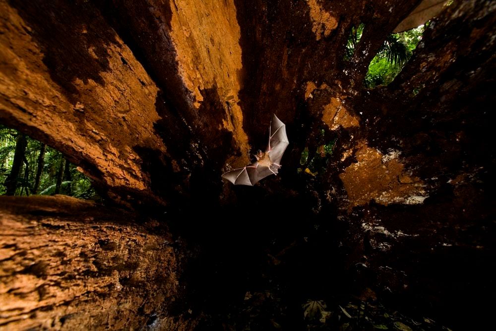 1r18_mm7355_060624_17215