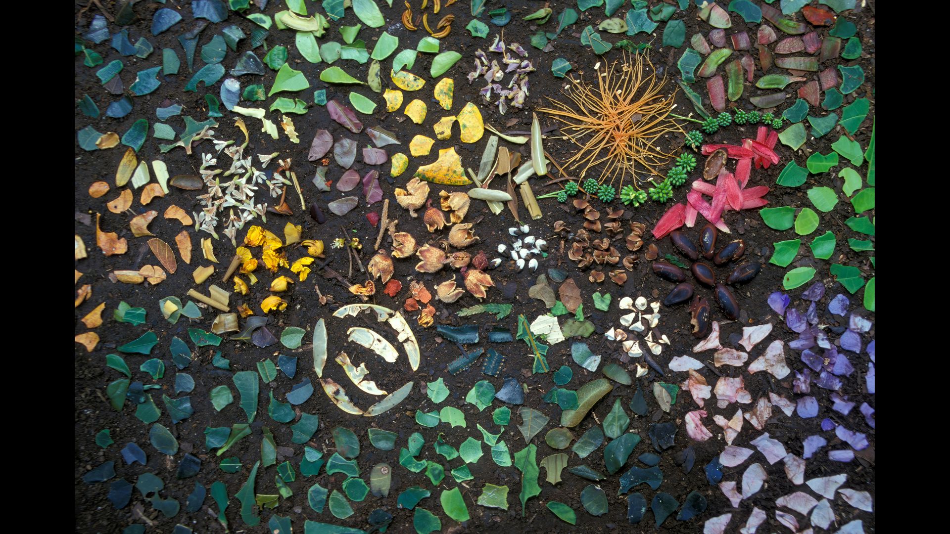 SA15_CZI0124 16-9-2.jpg