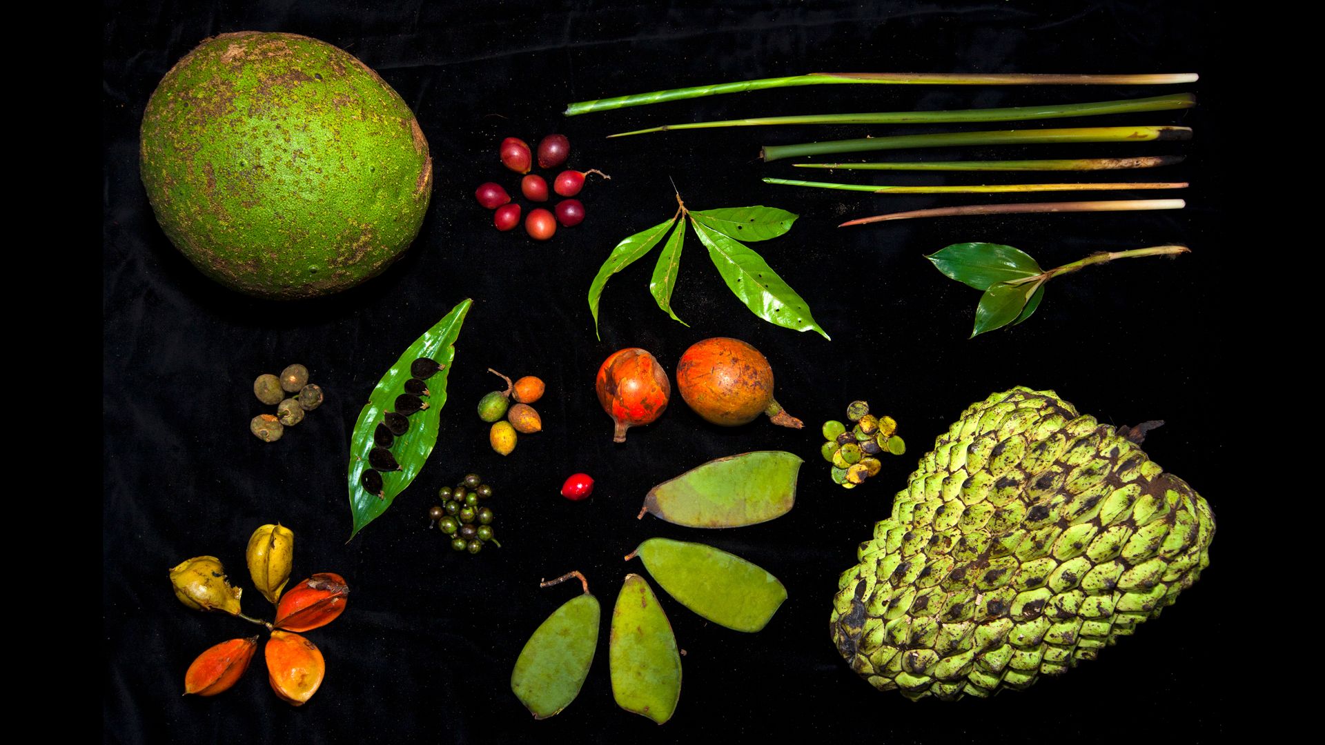 MM7994_91565 16-9.jpg