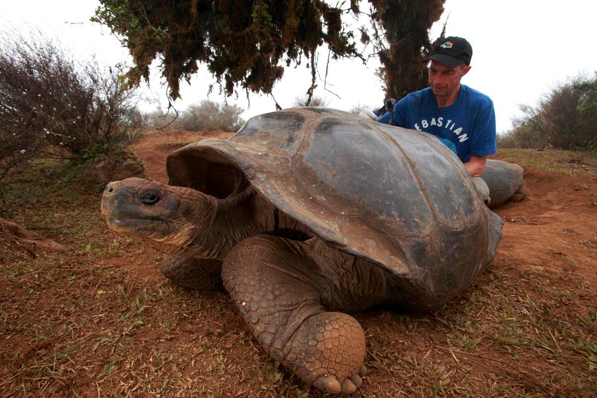 Galapagos Tortoise tracking - Christian Ziegler - Photojournalist