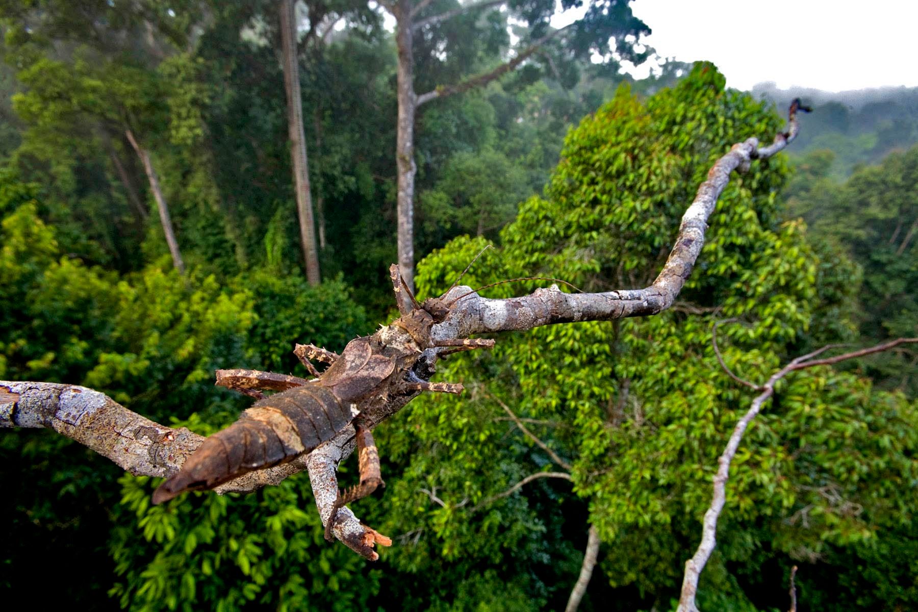 108_ziegler_christian08