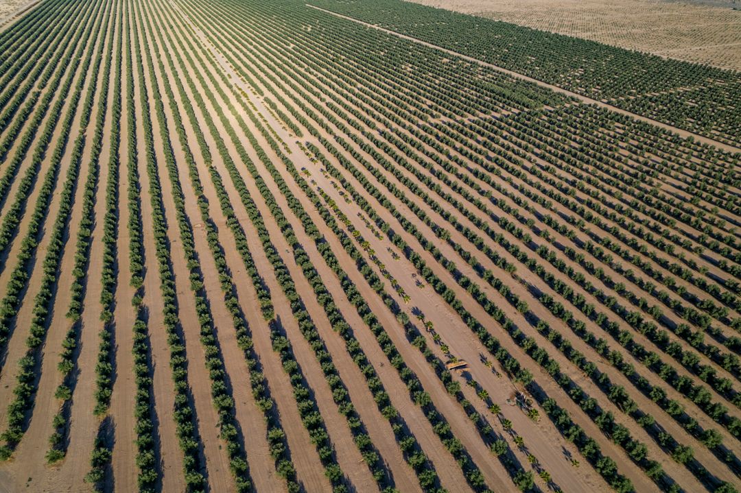 MM9826 _220427_004660-3-16.jpg