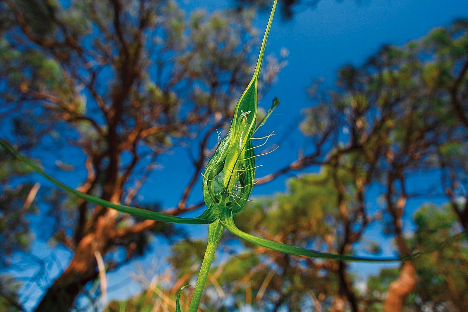 1mm7607_080905_31676r3