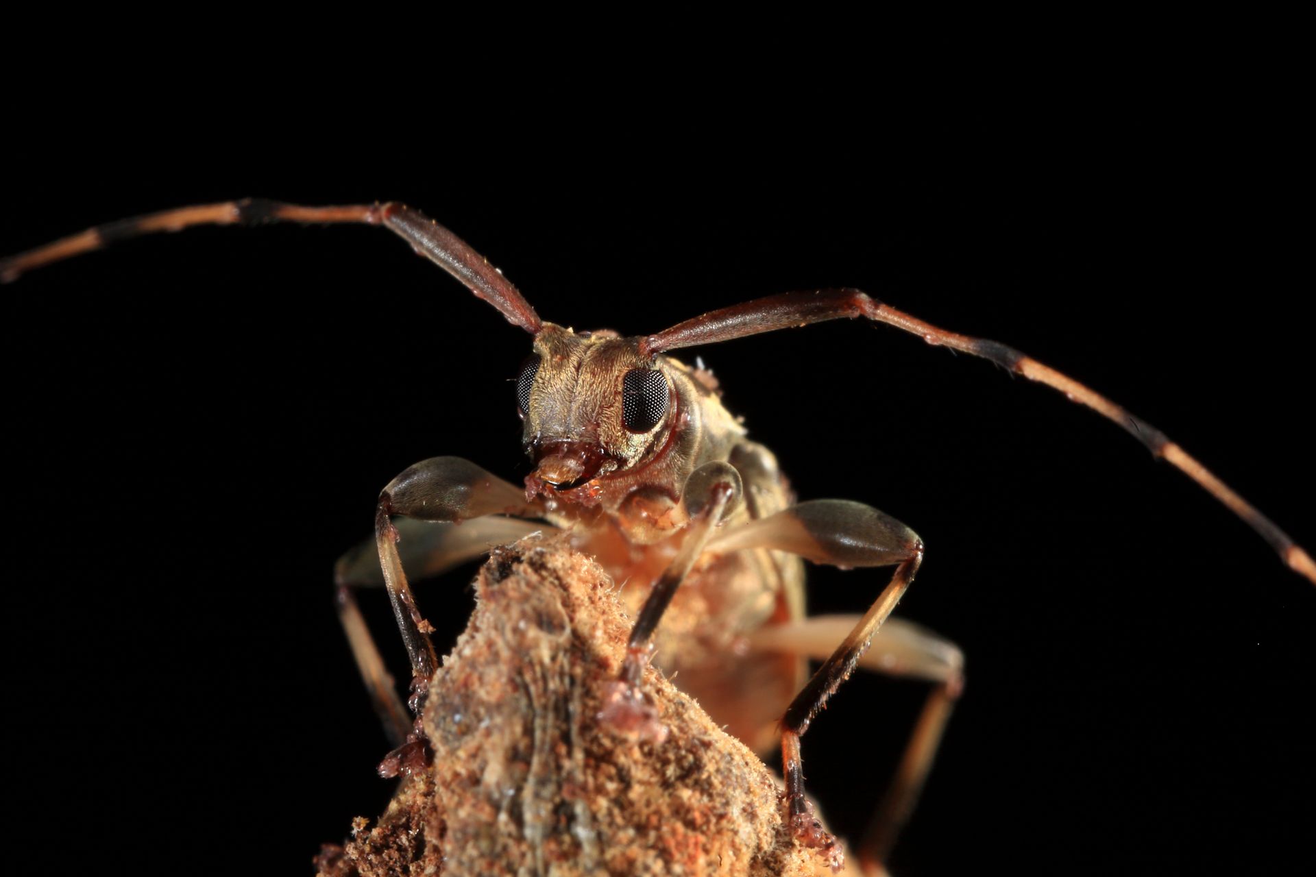 169-_MG_9339 copy.jpg