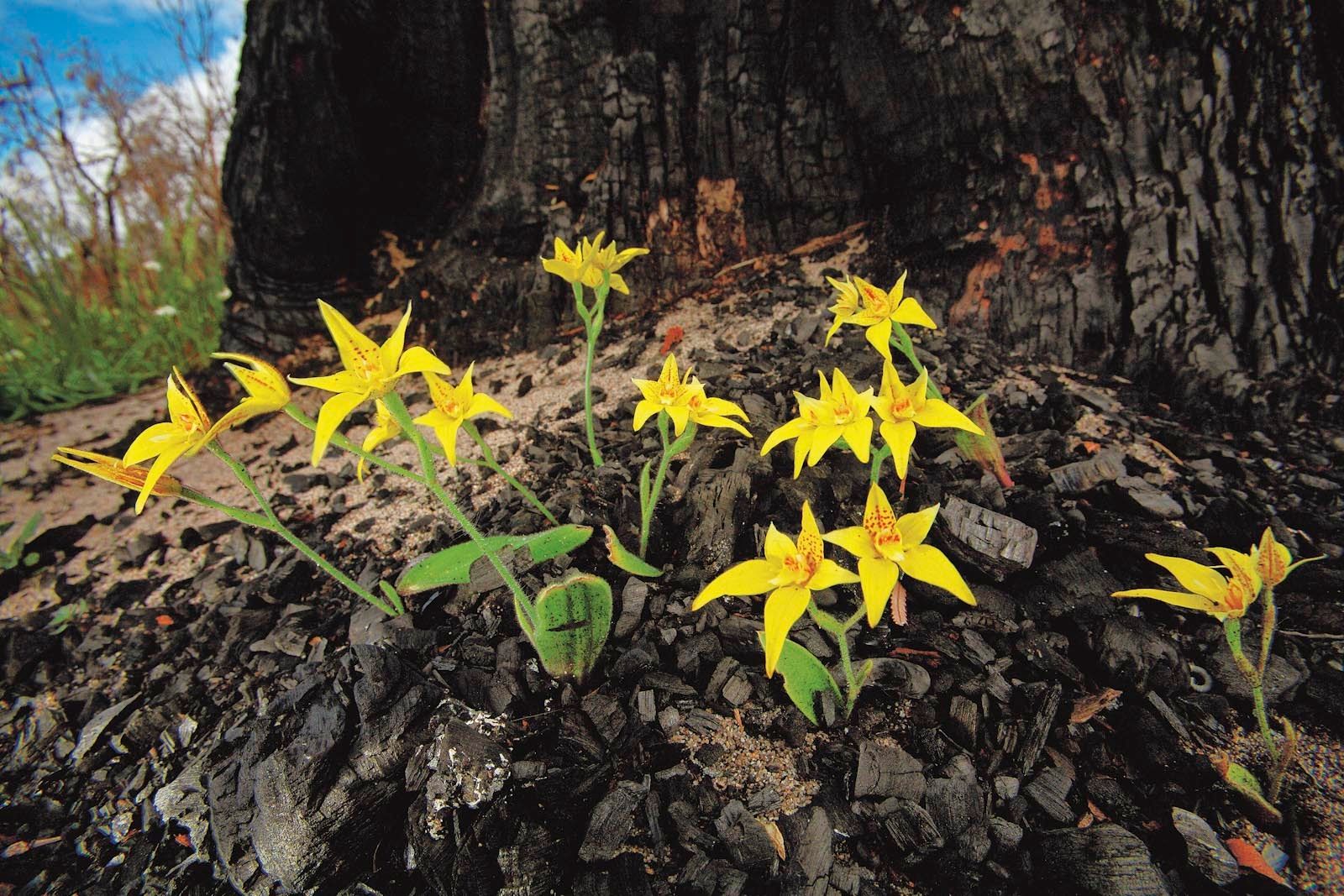 1mm7607_080909_30954r5