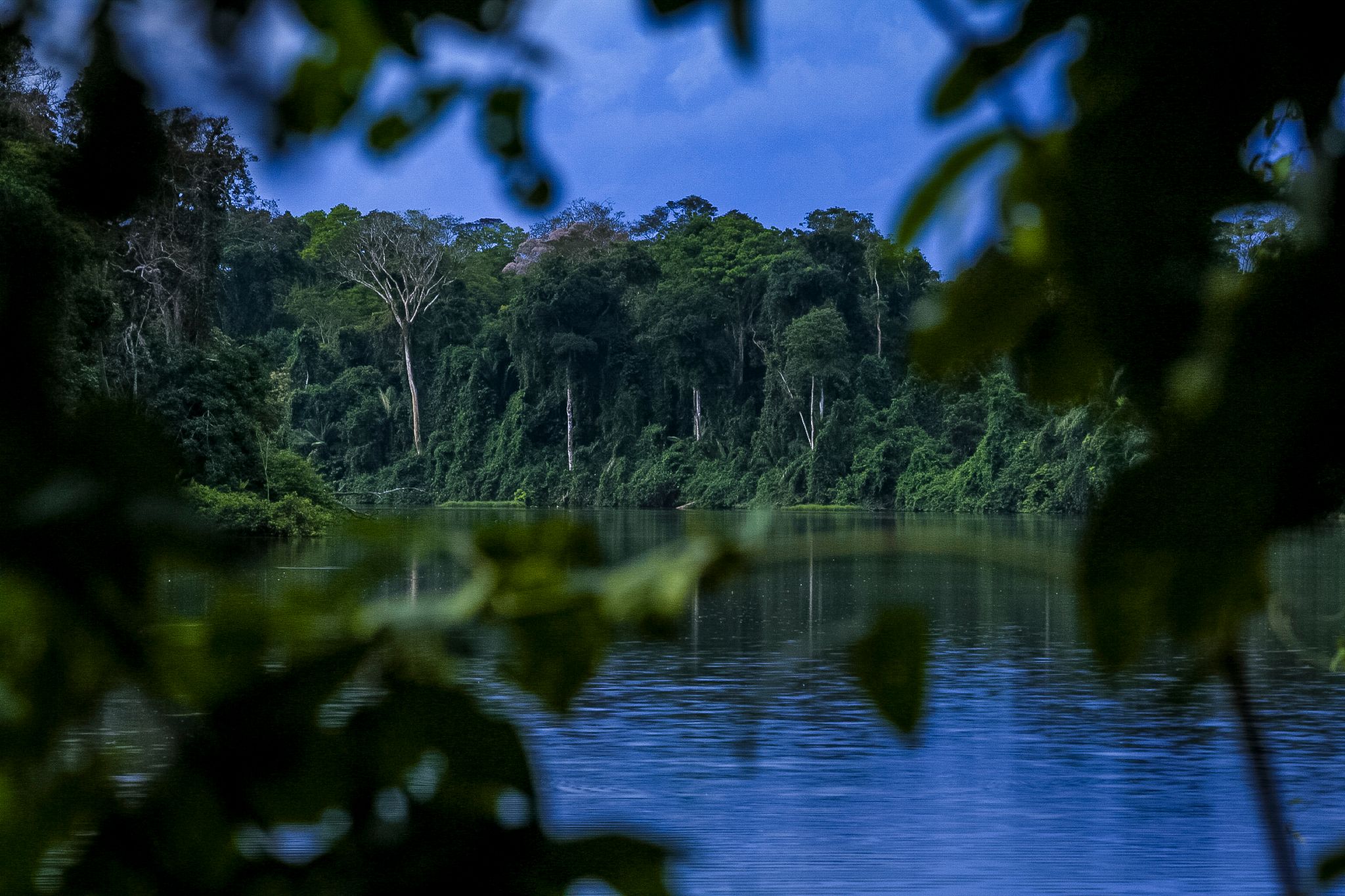 MM8275_140921_49389.jpg