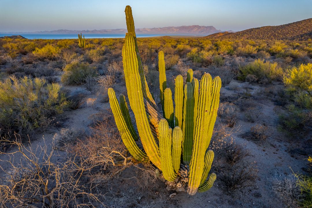 MM9826 _220425_003453-3-6.jpg