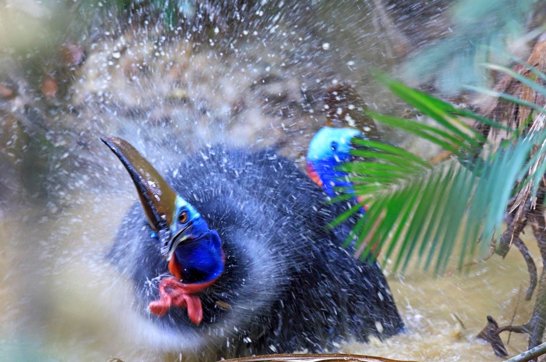 1mm7817_120910_35767c