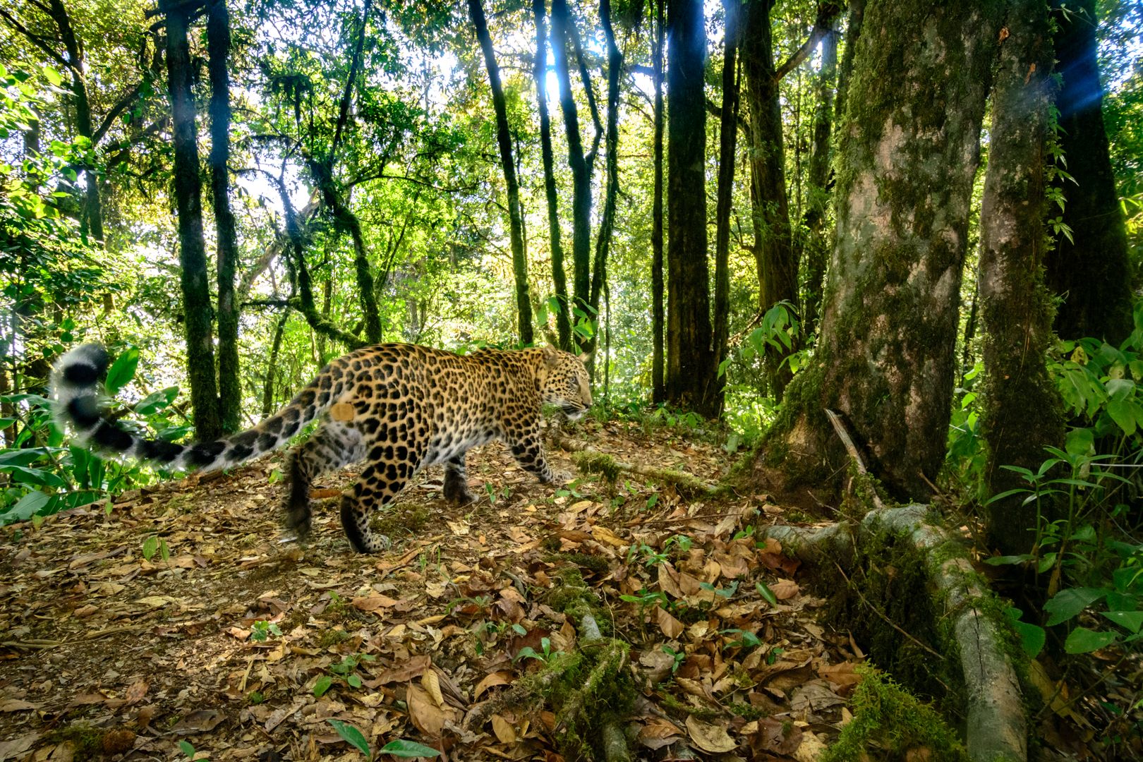 DSC_5423 copy-2-2.jpg