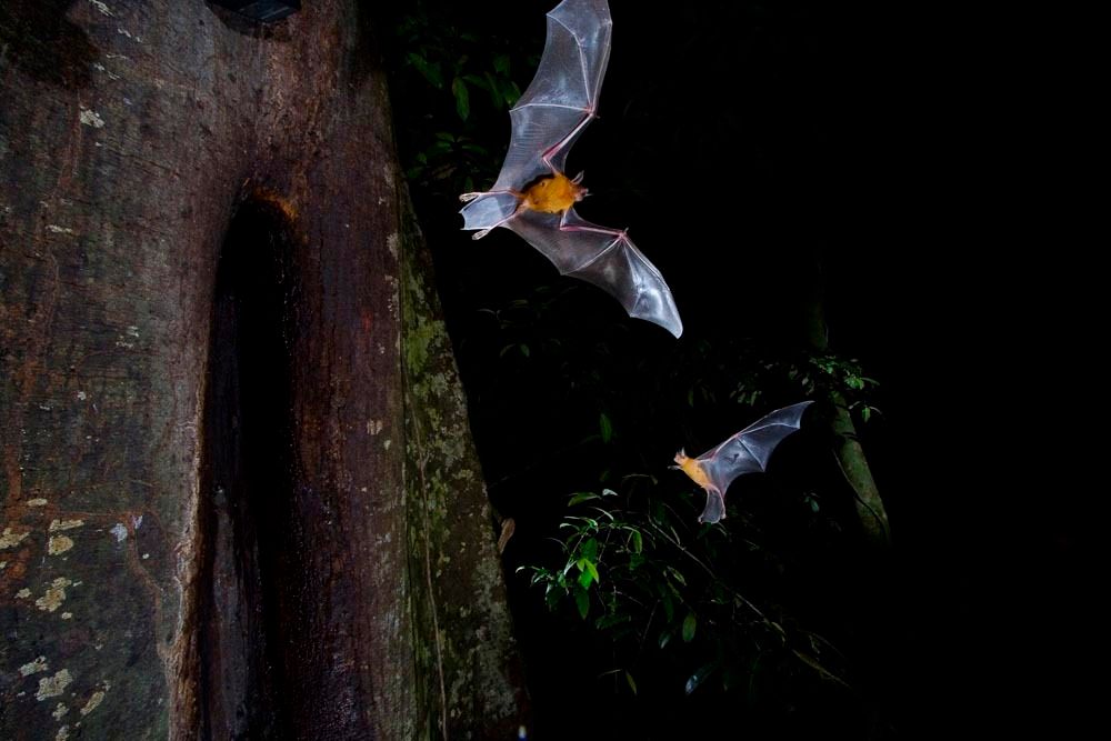 1r19_mm7355_060513_14522