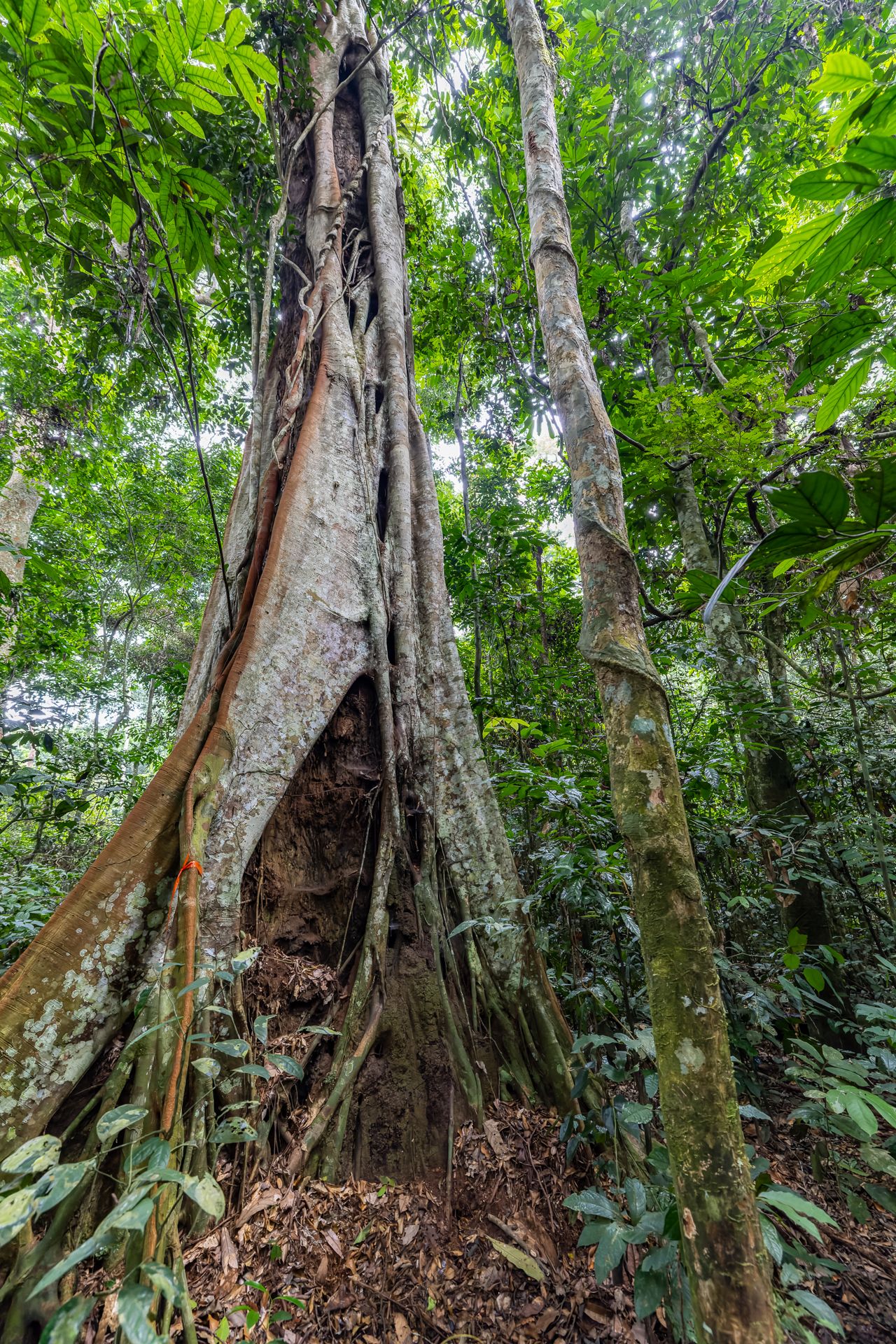 0B6A9482 2-CR3_DxO_DeepPRIME-2.jpg