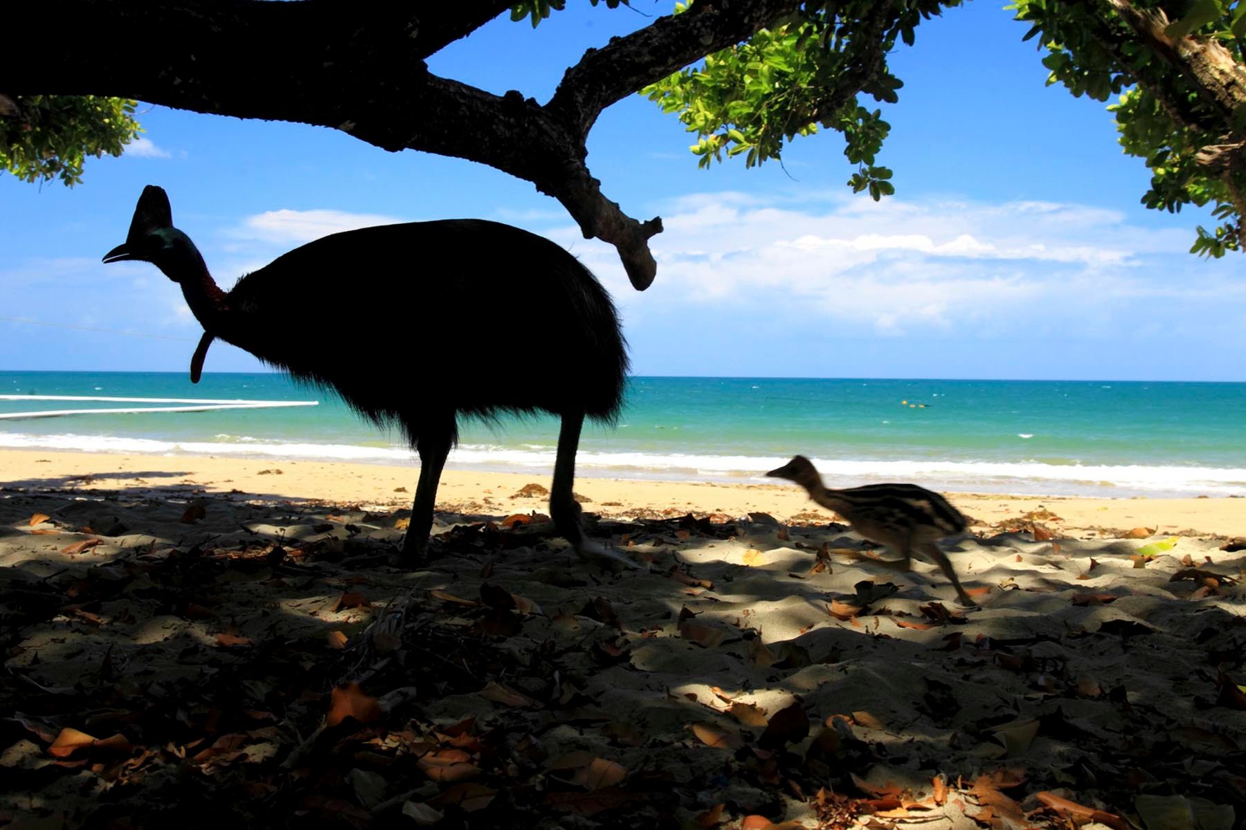 1mm7817_121129_86984