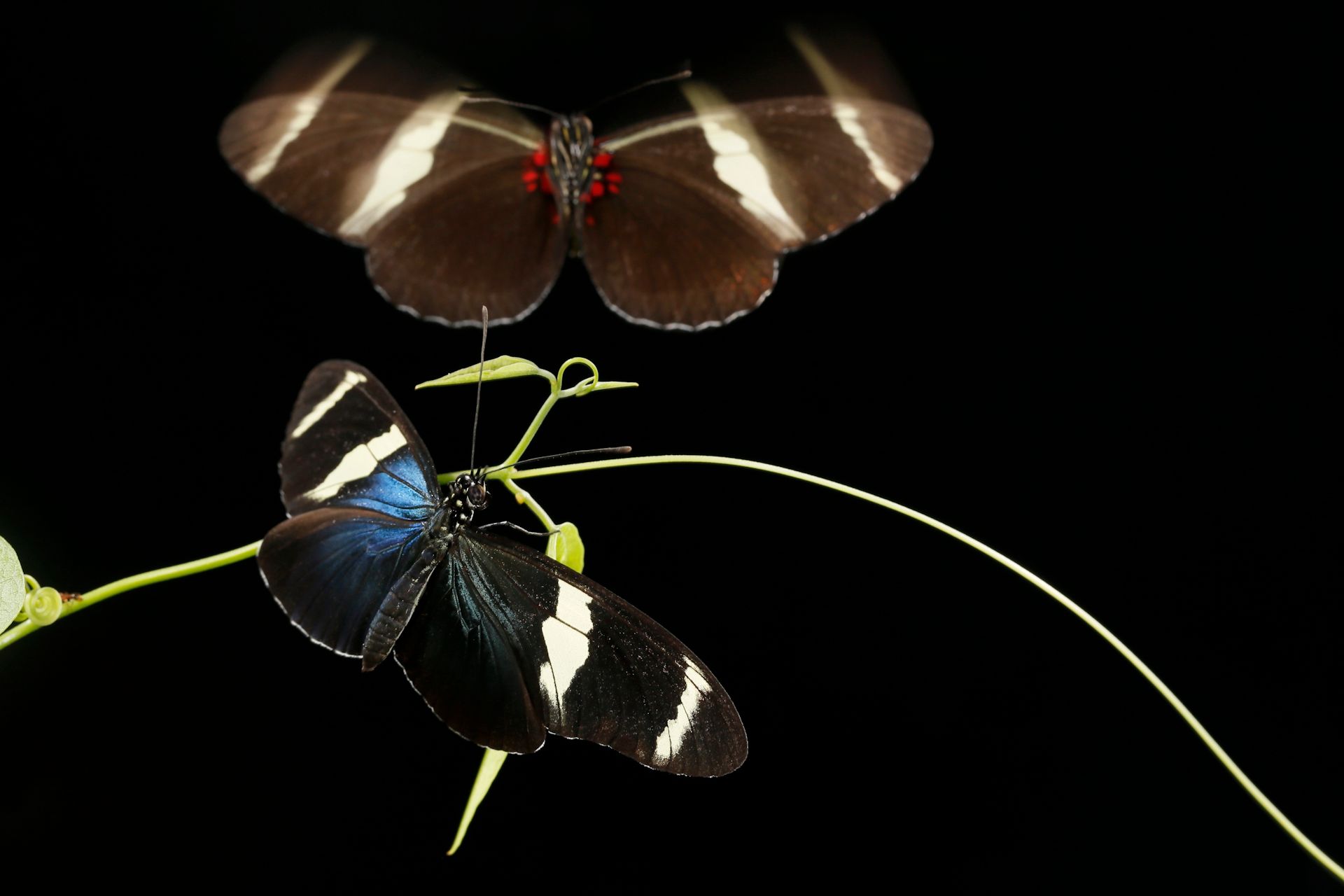 159-_ZI_5771 copy.jpg