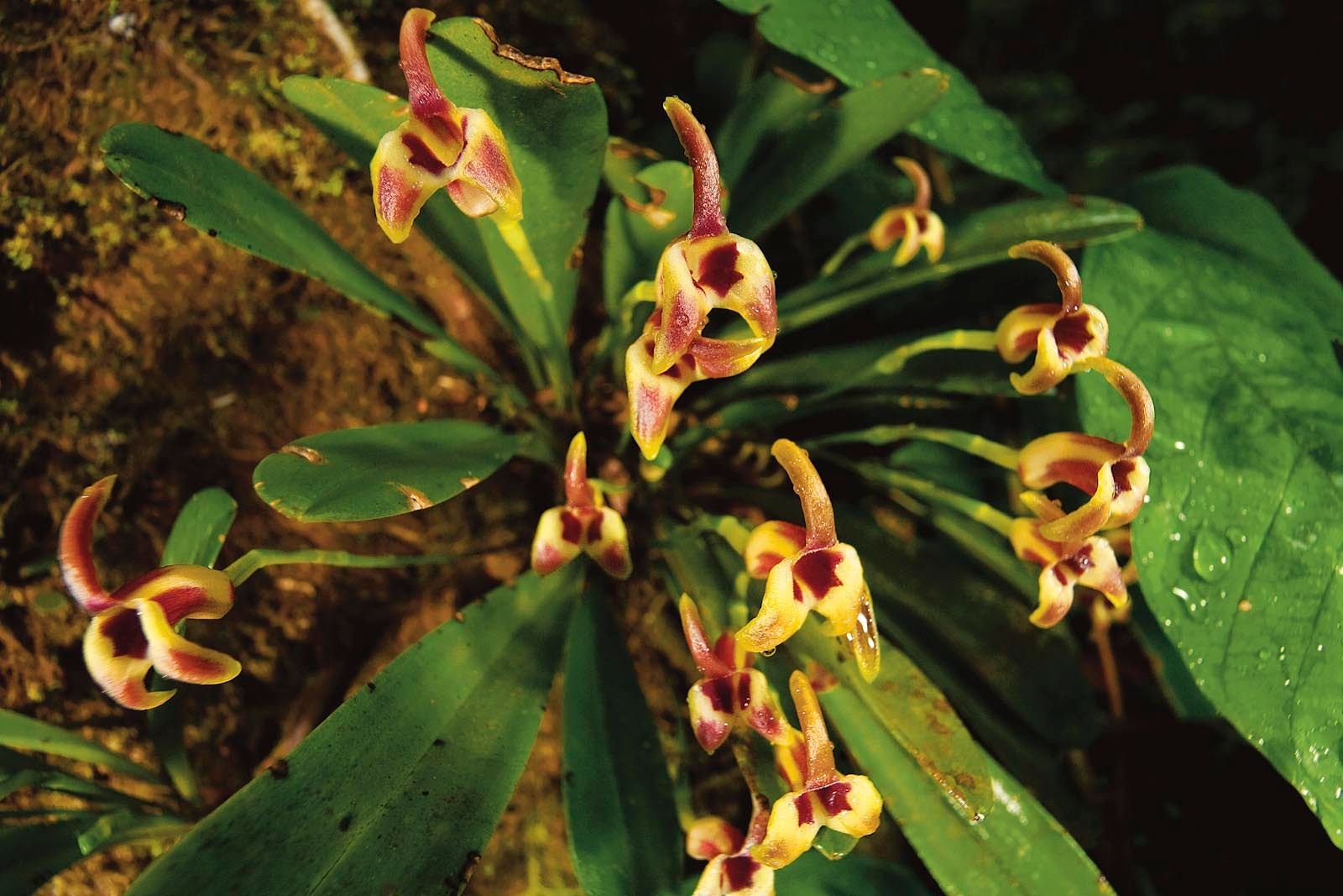 1mm7607_080223_08668r3