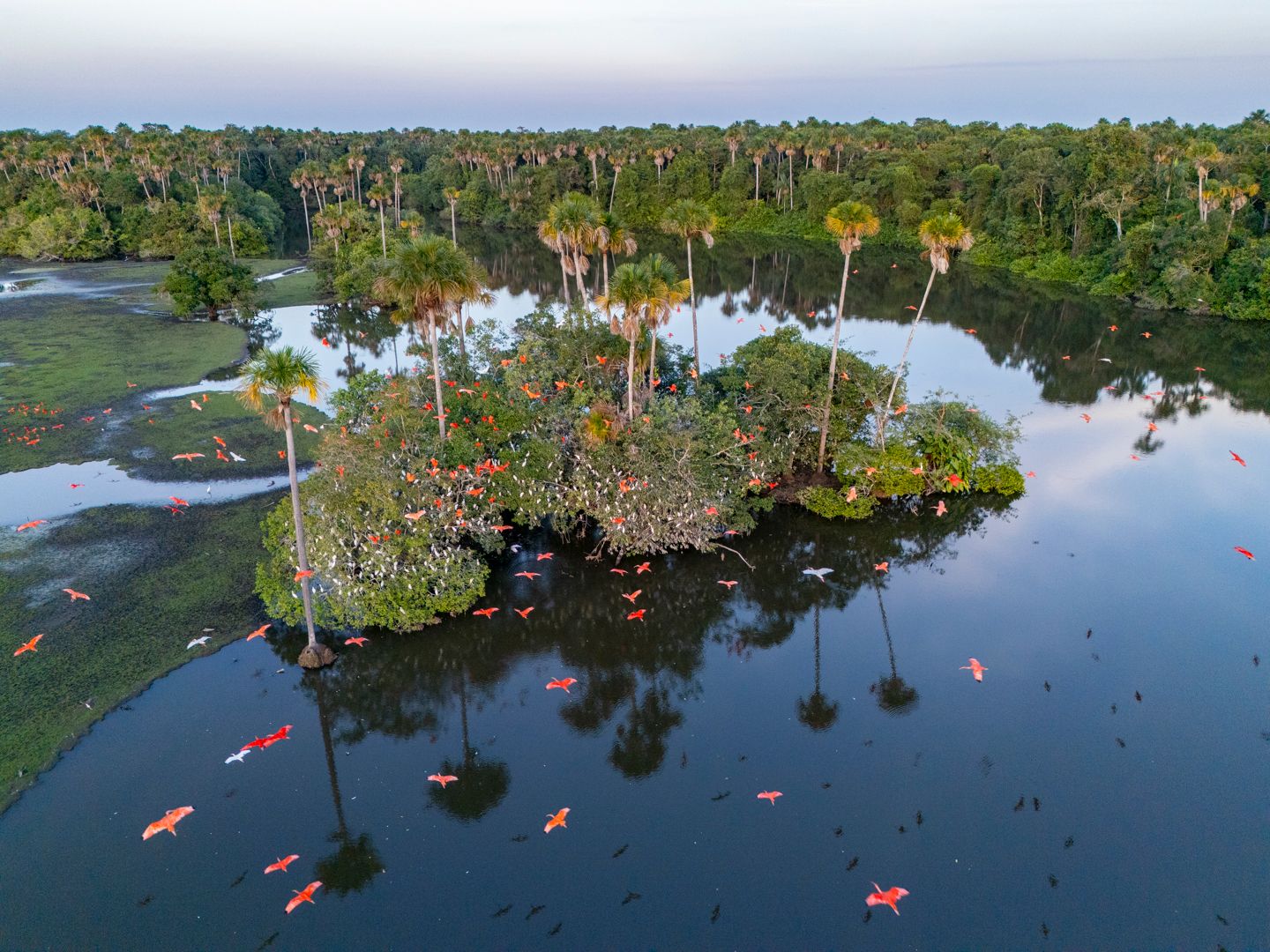 DJI_20250107173530_0075_D-88-101.jpg