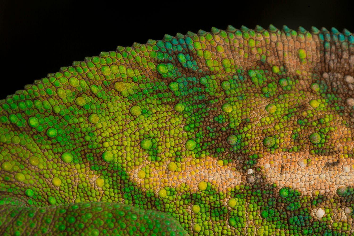 MM8272_141114_22120 copy.jpg