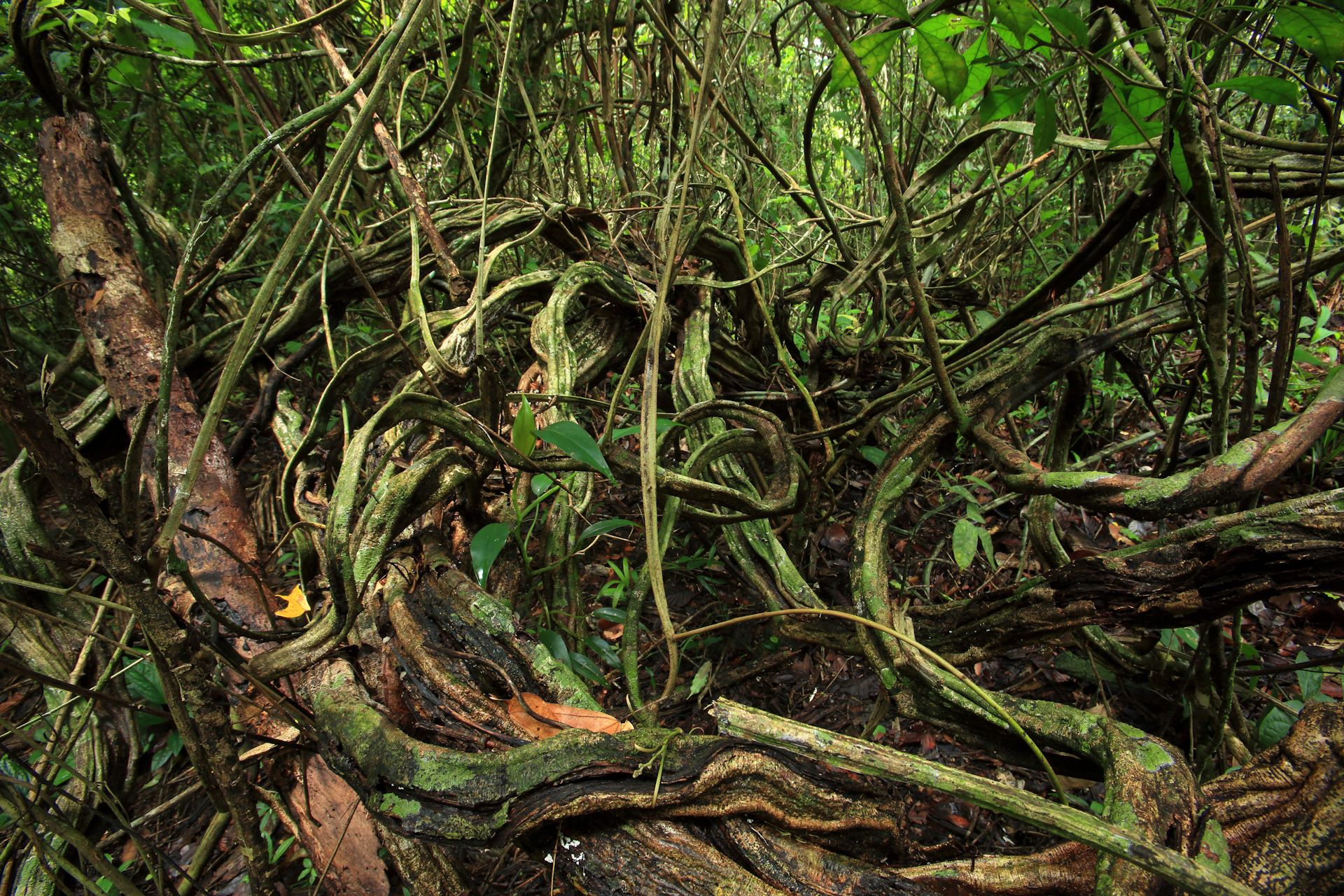 112-_MG_4792 copy.jpg