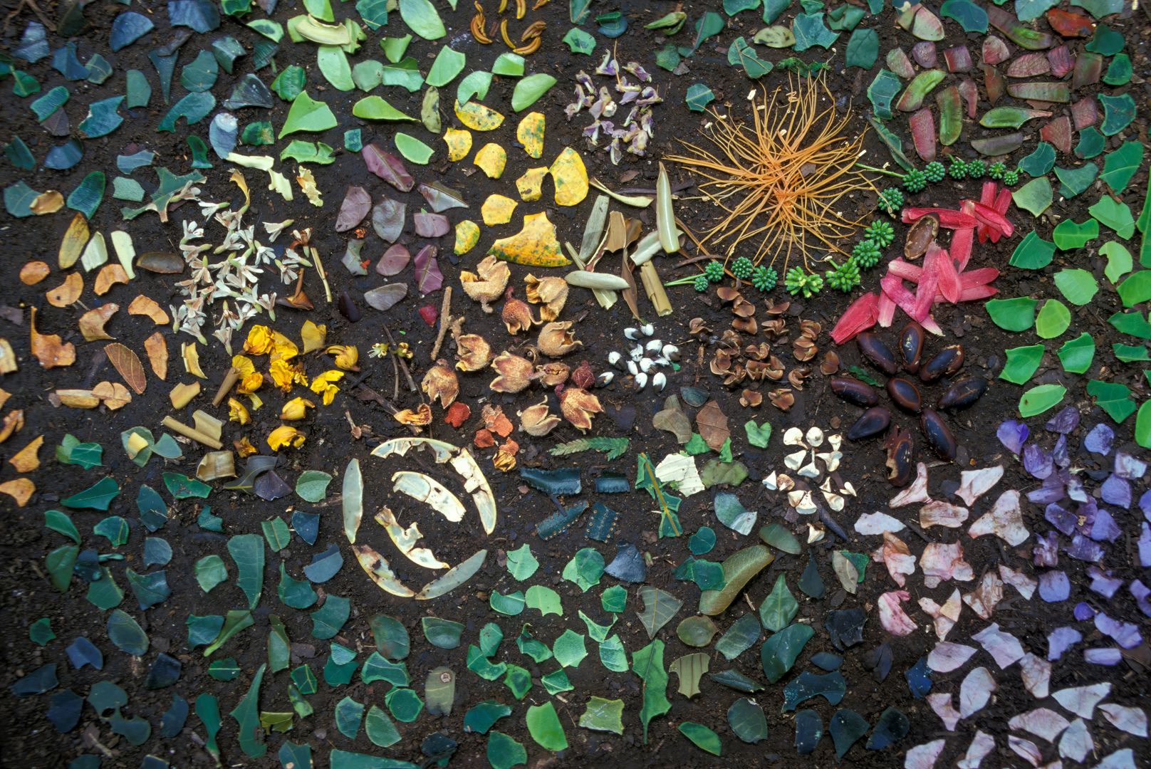 SA15_CZI0124_M copy-topaz-denoise-3-2.jpg