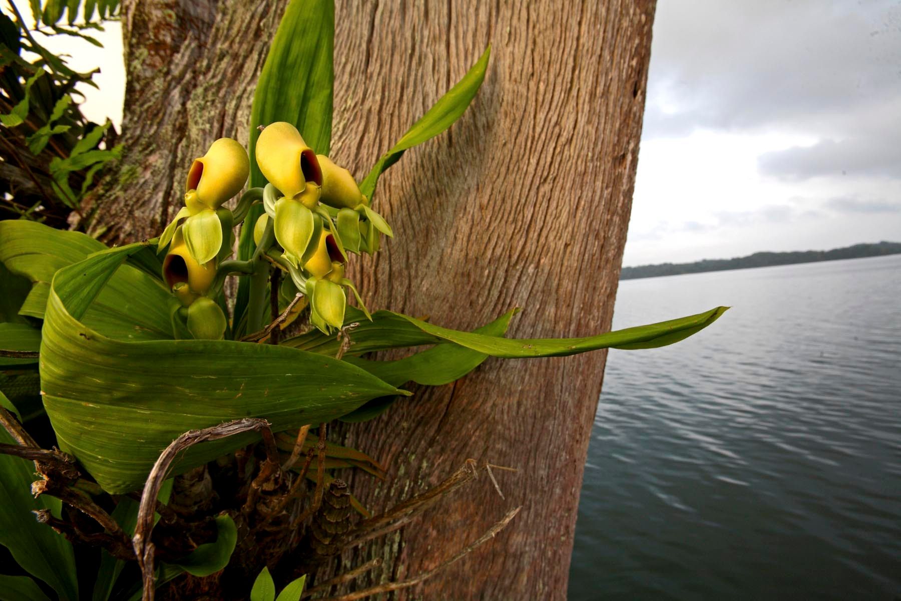 1mm7607_070703_00739