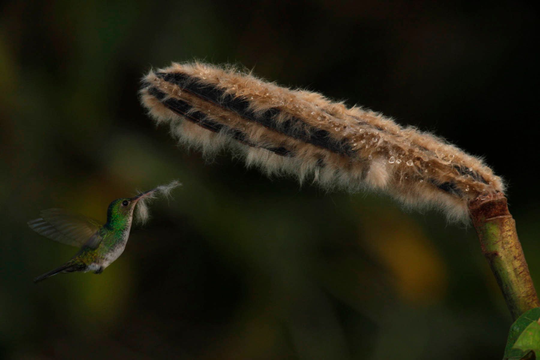 1mm7777_100215_33805