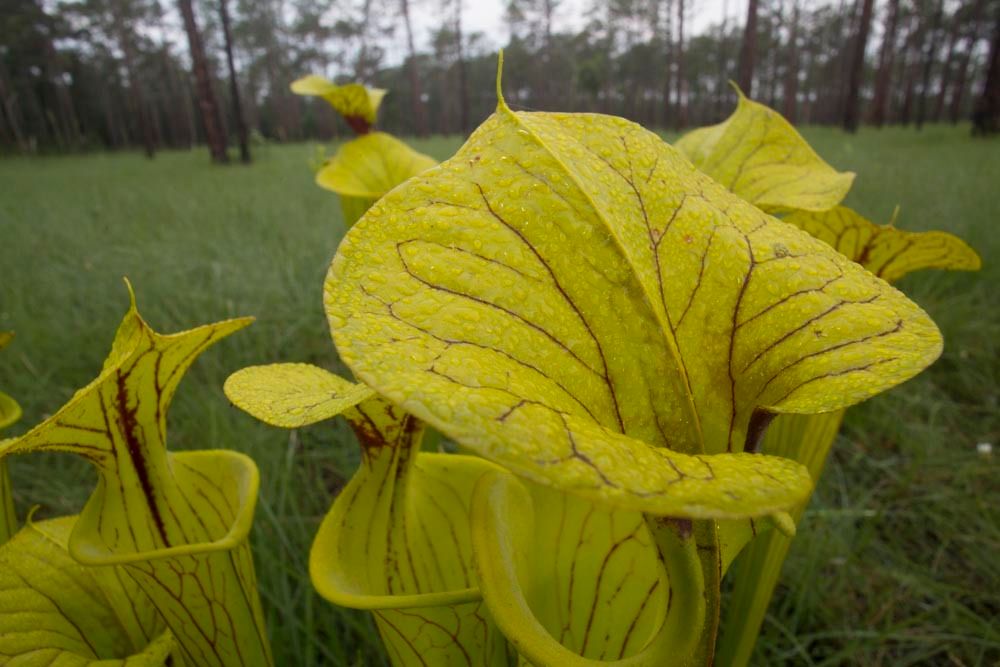 1r28_ncm13011_130605_1309