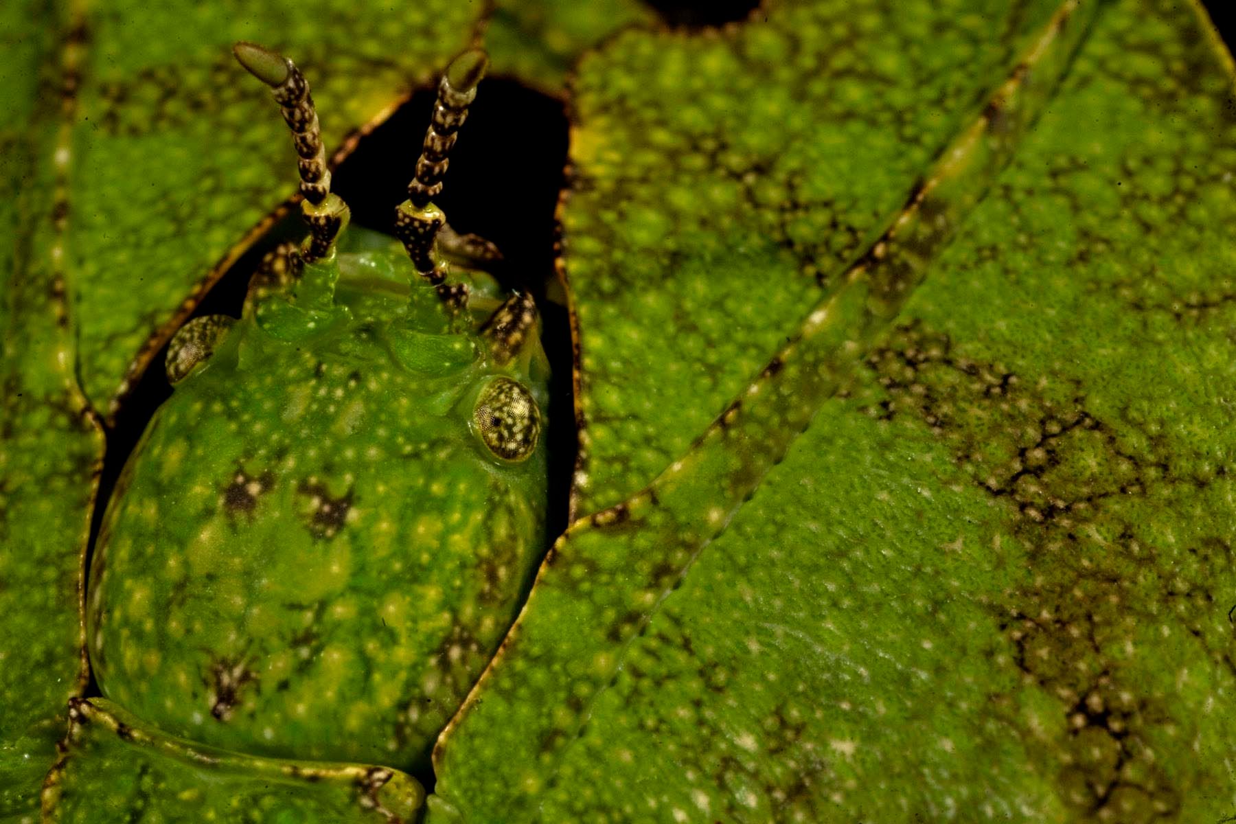 1r14_ziegler_christian14