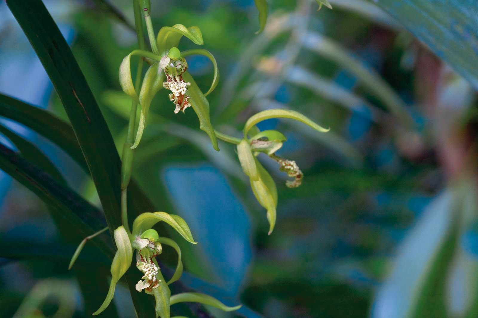 1mm7607_070811_02338r2