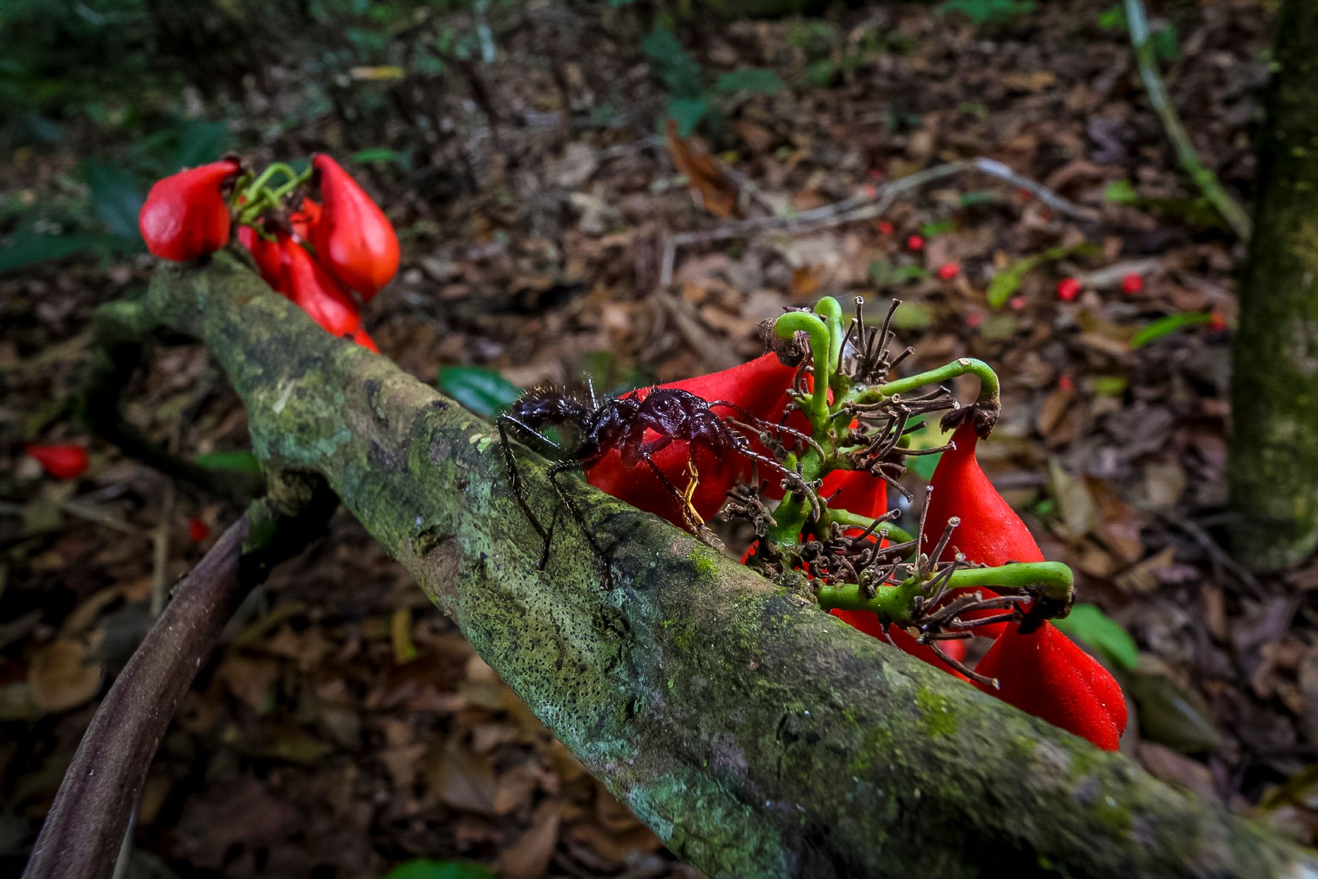 MM8275_140831_10977 copy.jpg